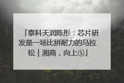 泰科天润陈彤：芯片研发是一场比拼耐力的马拉松｜湘商，向上⑤