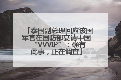 泰国副总理回应该国军官在国防部宴请中国“VVVIP”：确有此事，正在调查