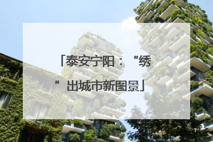 泰安宁阳：“绣”出城市新图景