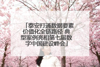 泰安打通数据要素价值化全链路径 典型案例亮相第七届数字中国建设峰会