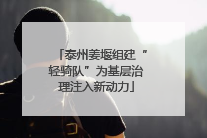 泰州姜堰组建“轻骑队”为基层治理注入新动力