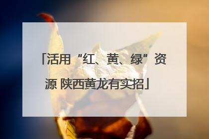 活用“红、黄、绿”资源 陕西黄龙有实招