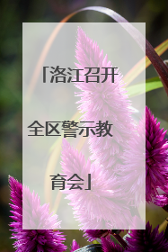 洛江召开全区警示教育会