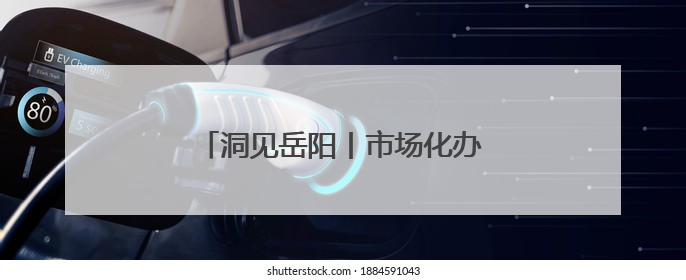 洞见岳阳丨市场化办会的“岳阳模式”