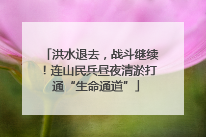 洪水退去，战斗继续！连山民兵昼夜清淤打通“生命通道”