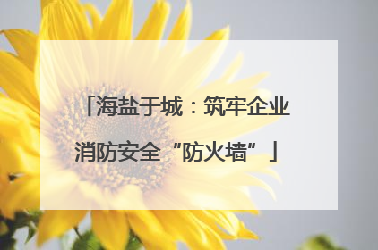 海盐于城：筑牢企业消防安全“防火墙”