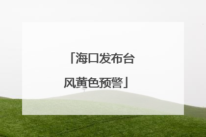 海口发布台风黄色预警
