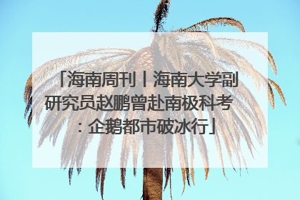 海南周刊丨海南大学副研究员赵鹏曾赴南极科考：企鹅都市破冰行