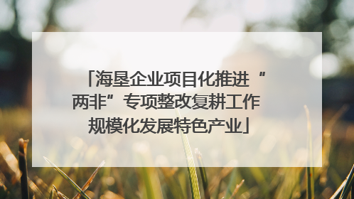 海垦企业项目化推进“两非”专项整改复耕工作 规模化发展特色产业