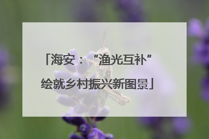 海安：“渔光互补” 绘就乡村振兴新图景