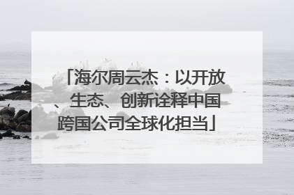 海尔周云杰：以开放、生态、创新诠释中国跨国公司全球化担当
