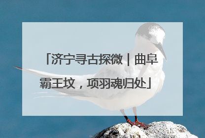 济宁寻古探微｜曲阜霸王坟，项羽魂归处