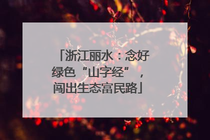 浙江丽水：念好绿色“山字经”，闯出生态富民路