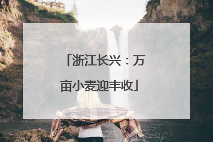 浙江长兴：万亩小麦迎丰收