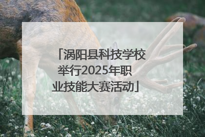 涡阳县科技学校举行2025年职业技能大赛活动