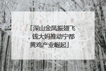 深山金凤振翅飞，钱大妈推动宁都黄鸡产业崛起
