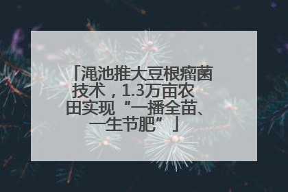 渑池推大豆根瘤菌技术，1.3万亩农田实现“一播全苗、一生节肥”