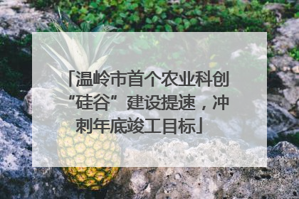 温岭市首个农业科创“硅谷”建设提速，冲刺年底竣工目标