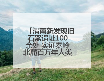 渭南新发现旧石器遗址100余处 实证秦岭北麓百万年人类生存演化史