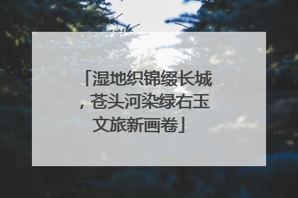 湿地织锦缀长城，苍头河染绿右玉文旅新画卷