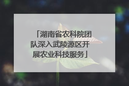 湖南省农科院团队深入武陵源区开展农业科技服务