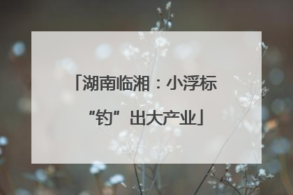 湖南临湘：小浮标“钓”出大产业