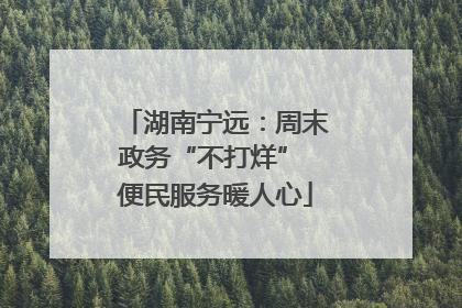 湖南宁远：周末政务“不打烊” 便民服务暖人心