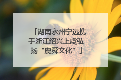 湖南永州宁远携手浙江绍兴上虞弘扬“虞舜文化”