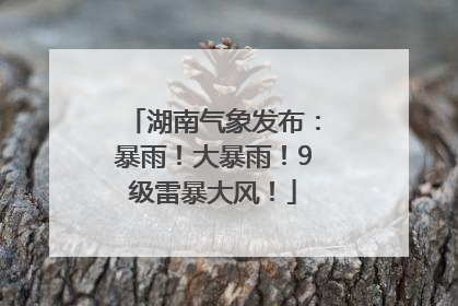 湖南气象发布：暴雨！大暴雨！9级雷暴大风！
