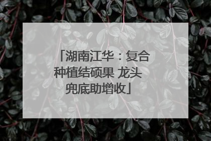 湖南江华：复合种植结硕果 龙头兜底助增收