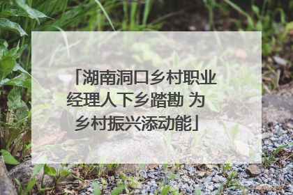 湖南洞口乡村职业经理人下乡踏勘 为乡村振兴添动能