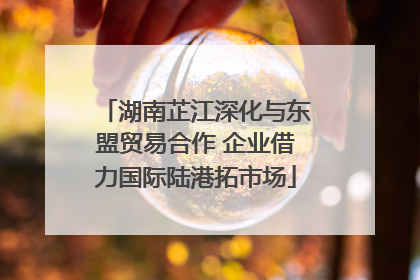湖南芷江深化与东盟贸易合作 企业借力国际陆港拓市场
