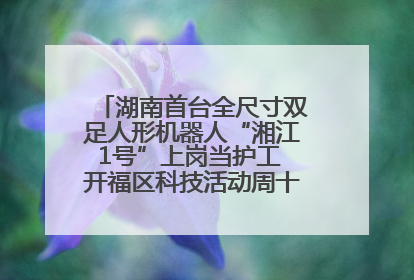 湖南首台全尺寸双足人形机器人“湘江1号”上岗当护工 开福区科技活动周十大科创项目签约