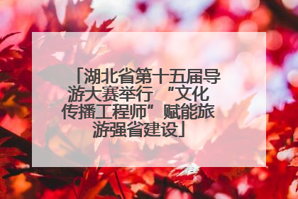 湖北省第十五届导游大赛举行 “文化传播工程师”赋能旅游强省建设