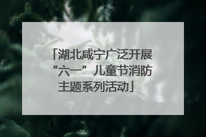 湖北咸宁广泛开展“六一”儿童节消防主题系列活动