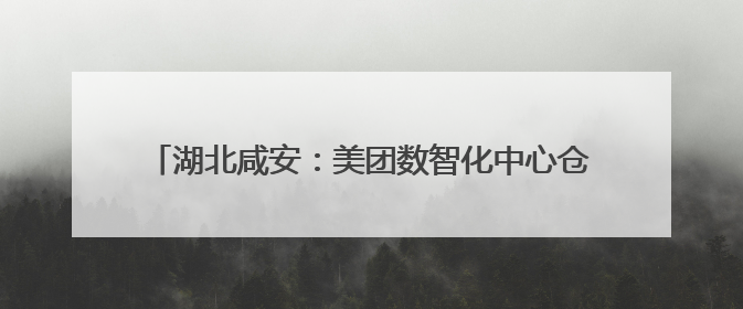 湖北咸安：美团数智化中心仓等4个现代服务业项目签约