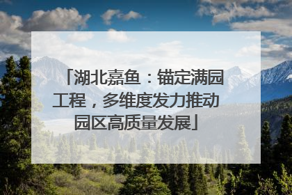 湖北嘉鱼：锚定满园工程，多维度发力推动园区高质量发展