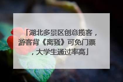 湖北多景区创意揽客，游客背《离骚》可免门票，大学生通过率高
