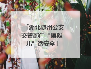 湖北随州公安交管部门“摆摊儿”话安全