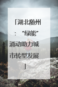 湖北随州：“绿能”涌动助力城市转型发展