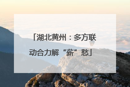 湖北黄州：多方联动合力解“薪”愁