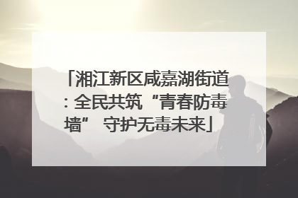 湘江新区咸嘉湖街道：全民共筑“青春防毒墙” 守护无毒未来
