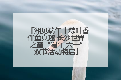 湘见端午丨粽叶香伴童真趣 长沙世界之窗“端午·六一”双节活动将启