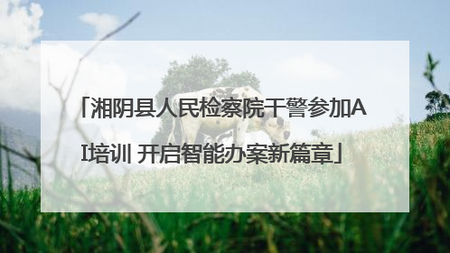 湘阴县人民检察院干警参加AI培训 开启智能办案新篇章