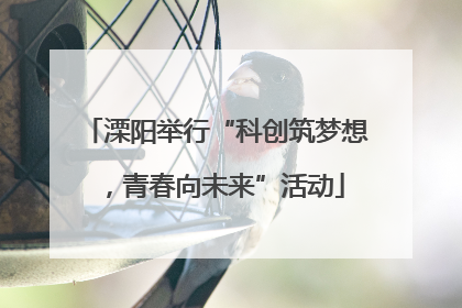 溧阳举行“科创筑梦想，青春向未来”活动