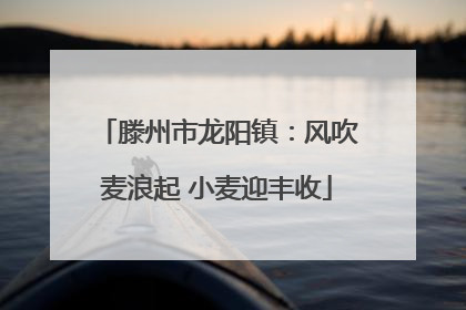 滕州市龙阳镇：风吹麦浪起 小麦迎丰收