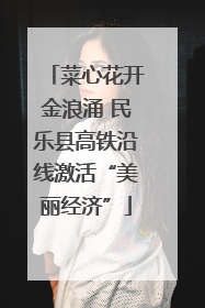 菜心花开金浪涌 民乐县高铁沿线激活“美丽经济”
