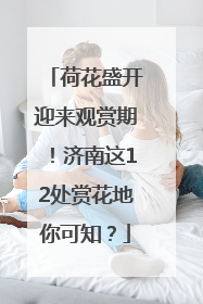 荷花盛开迎来观赏期！济南这12处赏花地你可知？