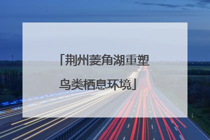 荆州菱角湖重塑鸟类栖息环境
