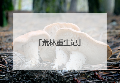 荒林重生记